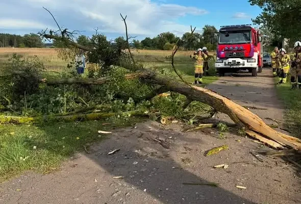 Strażacy z OSP Dobra usuwali skutki wichur – interwencje trwały 7 godzin