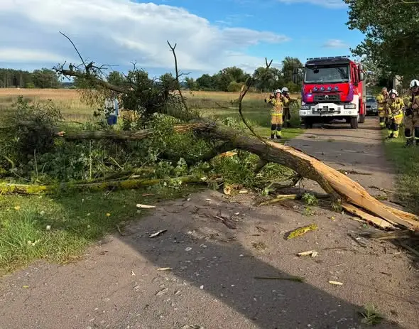Strażacy z OSP Dobra usuwali skutki wichur – interwencje trwały 7 godzin