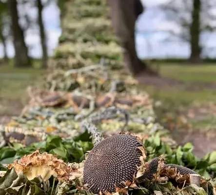 Spacer po parku w Ostoi z instalacjami land art – do końca września