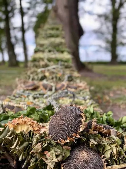 Spacer po parku w Ostoi z instalacjami land art – do końca września