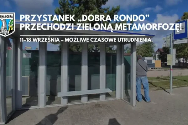 Zielona metamorfoza przystanku „Dobra rondo” – nowa wiata i pergola
