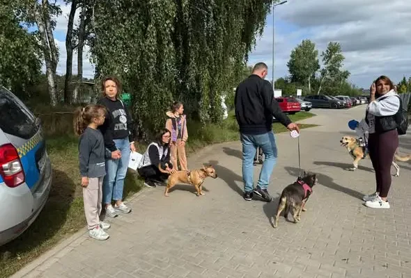 Dzień Psiaka i Kociaka w Dobrej – wspólne święto miłośników zwierząt